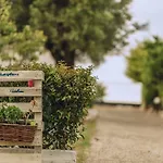 Tatil Evi Dalkidi Possidi