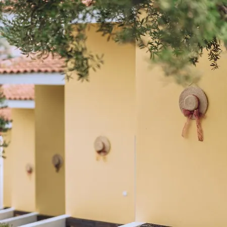 Vakantiehuis Dalkidi Possidi *