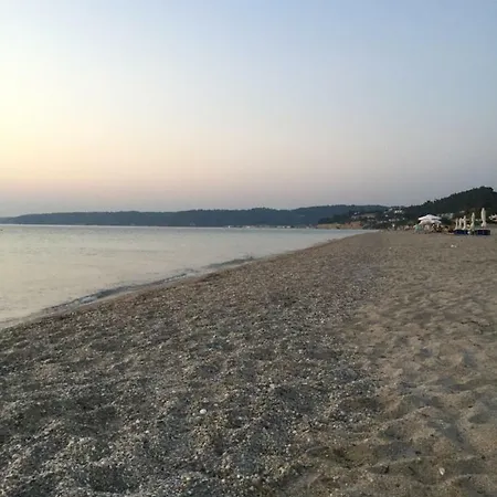 Dalkidi *
