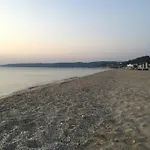 Dalkidi Possidi *